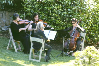 Strings in the garden